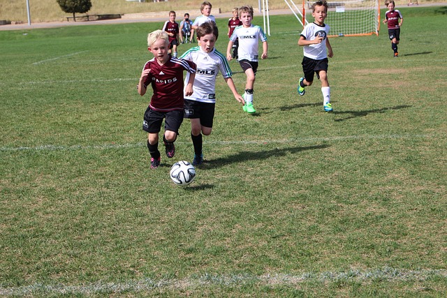 每一个转会 每一个转会