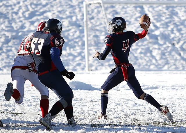 才能在后续 才能在后续